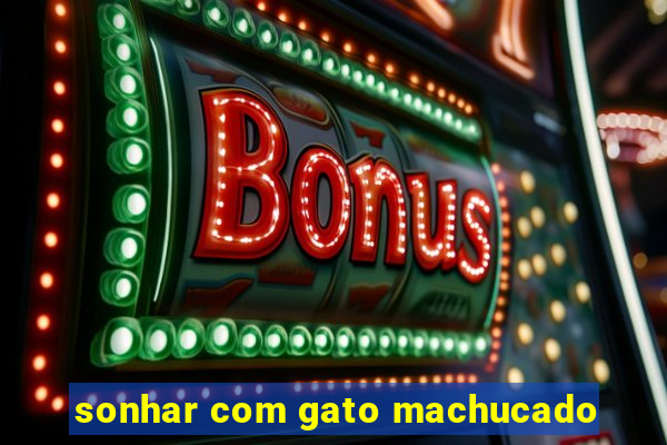 sonhar com gato machucado